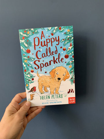 When Jasmine rescues Sparkle from a bad home, she thinks that the little puppy's misadventures are over. But there are thieves on the prowl and soon no dog is safe.  What if Jasmine has saved Sparkle from one disaster, only to lose her to another?