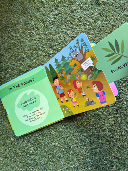 Follow Your Nose Everyday Scents