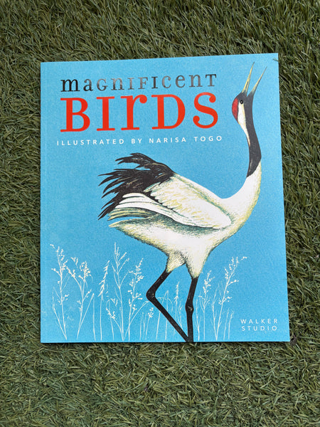Magnificent Birds
