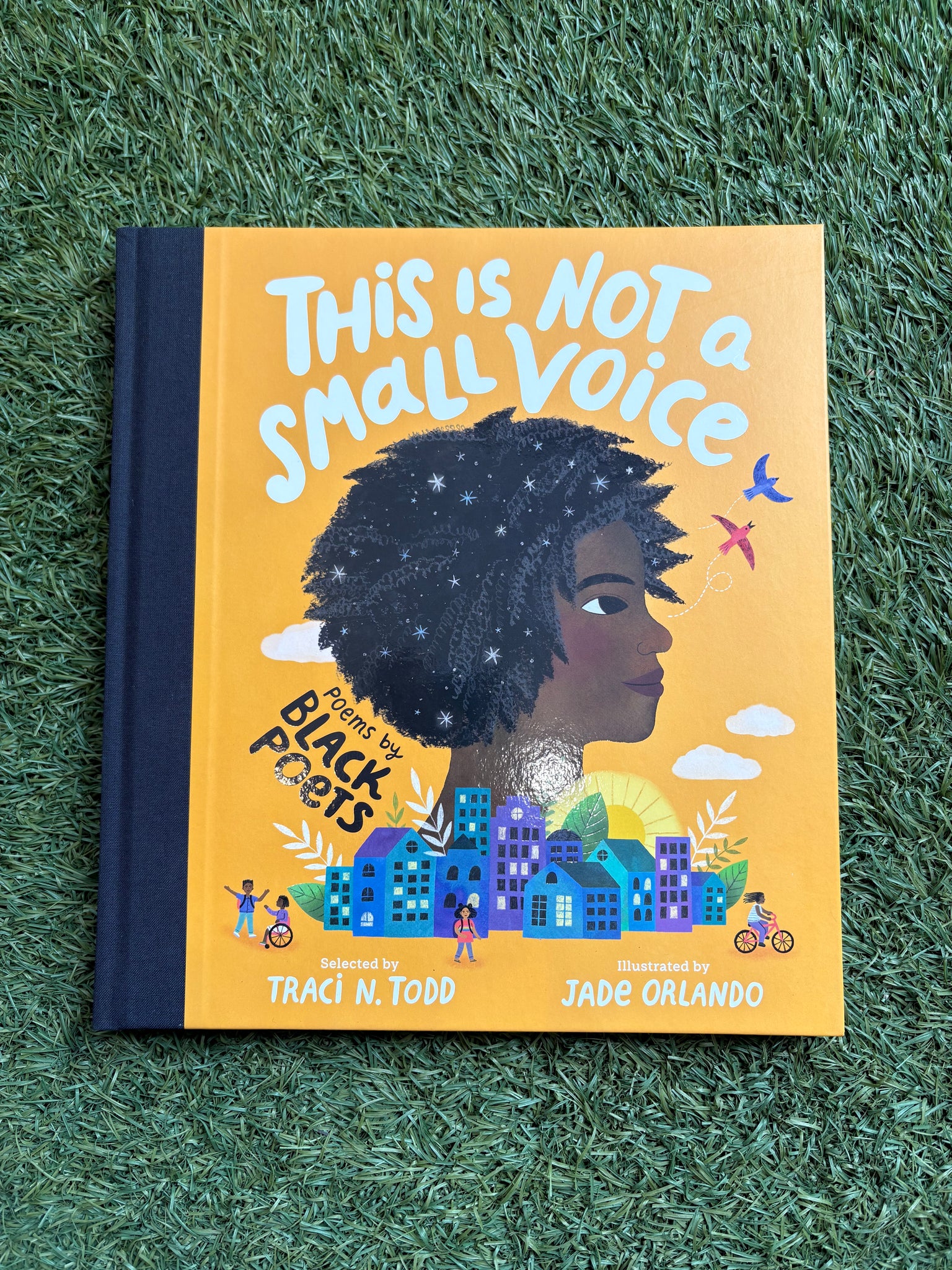 This Is Not A Small Voice - Poems by Black Poets