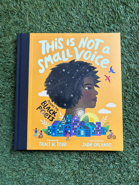 This Is Not A Small Voice - Poems by Black Poets