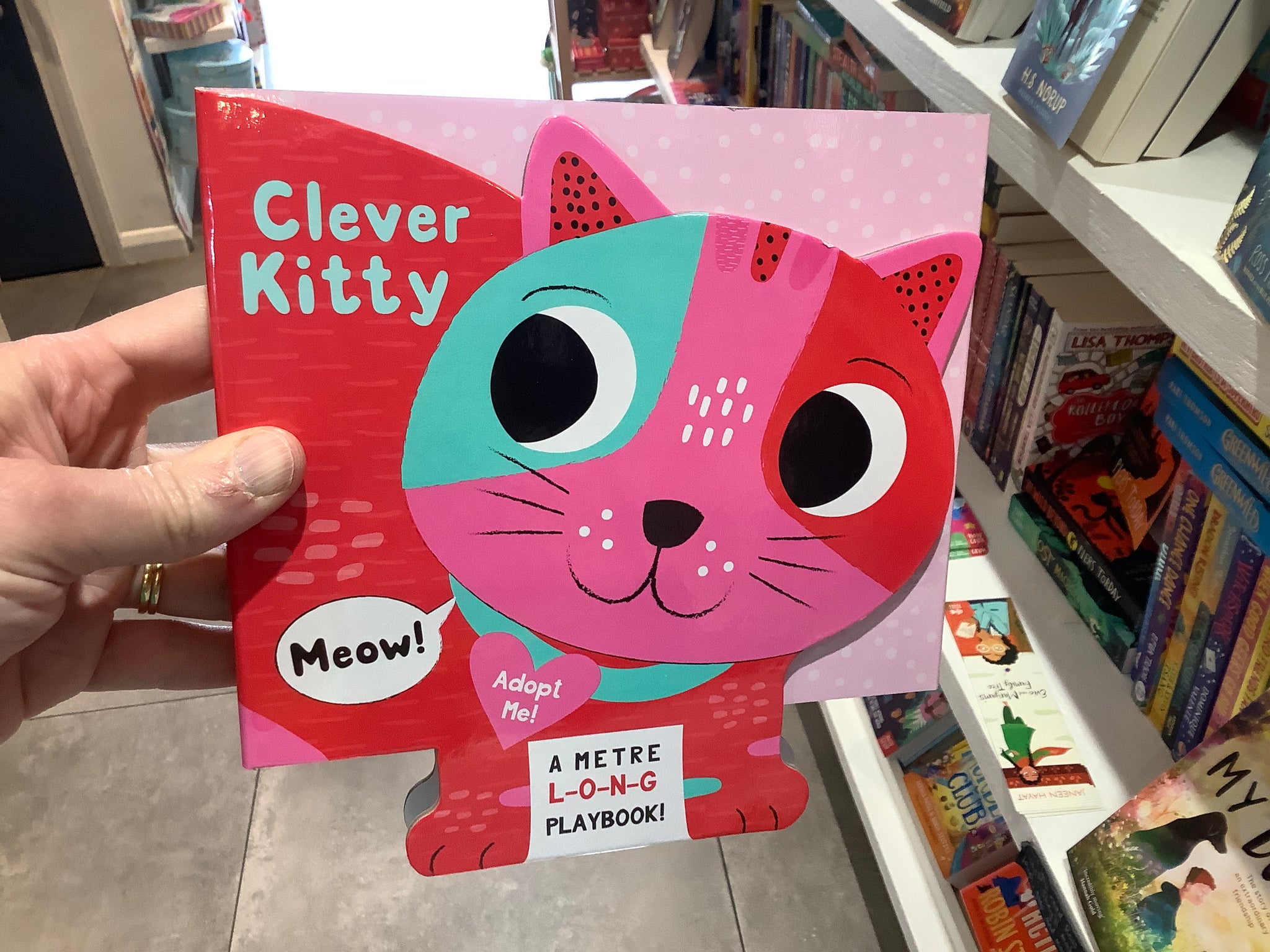 Clever Kitty