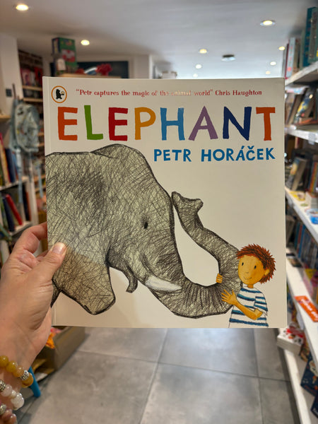 Elephant