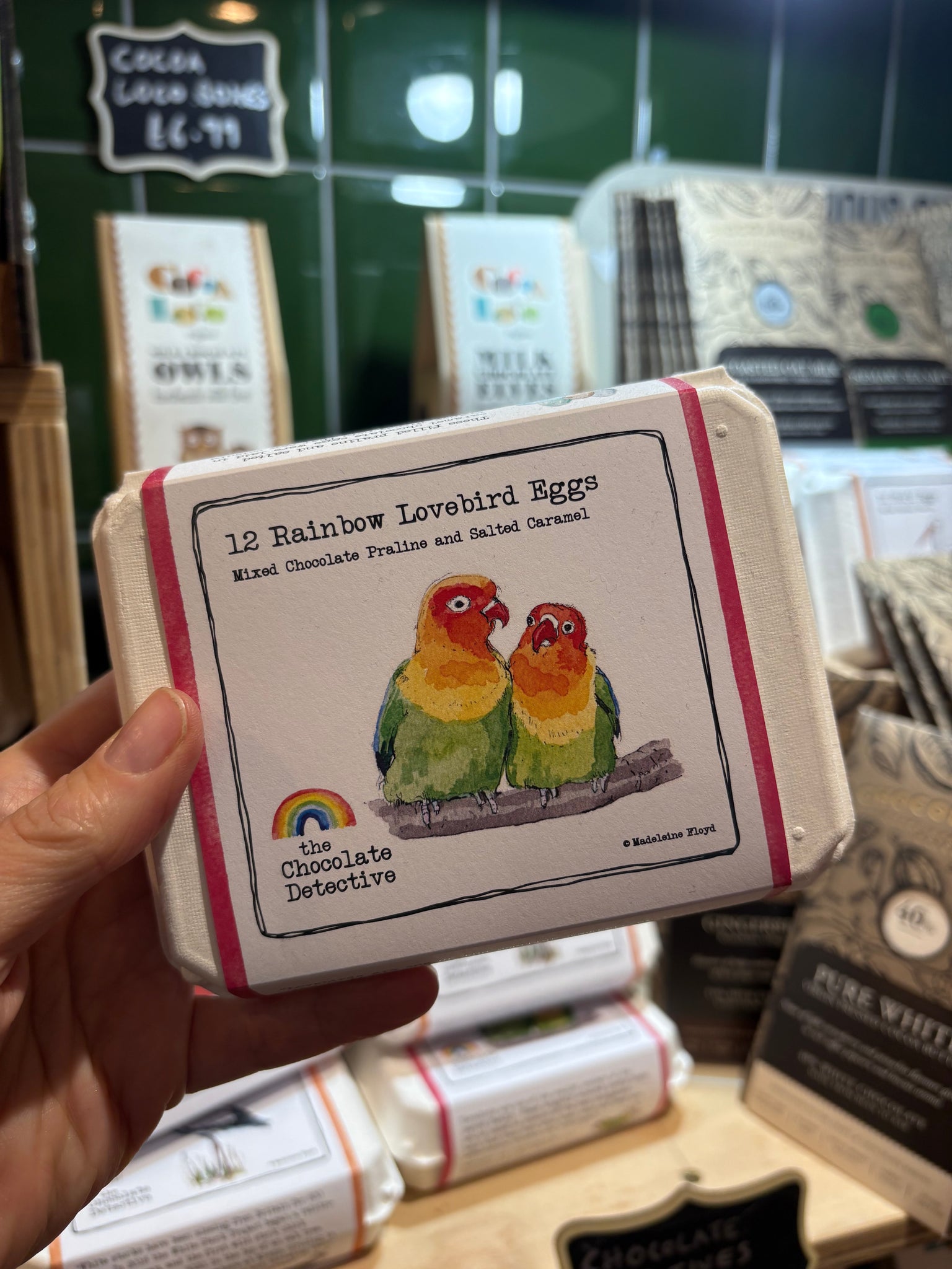 The Chocolate Detectives- 12 Rainbow Lovebird Eggs