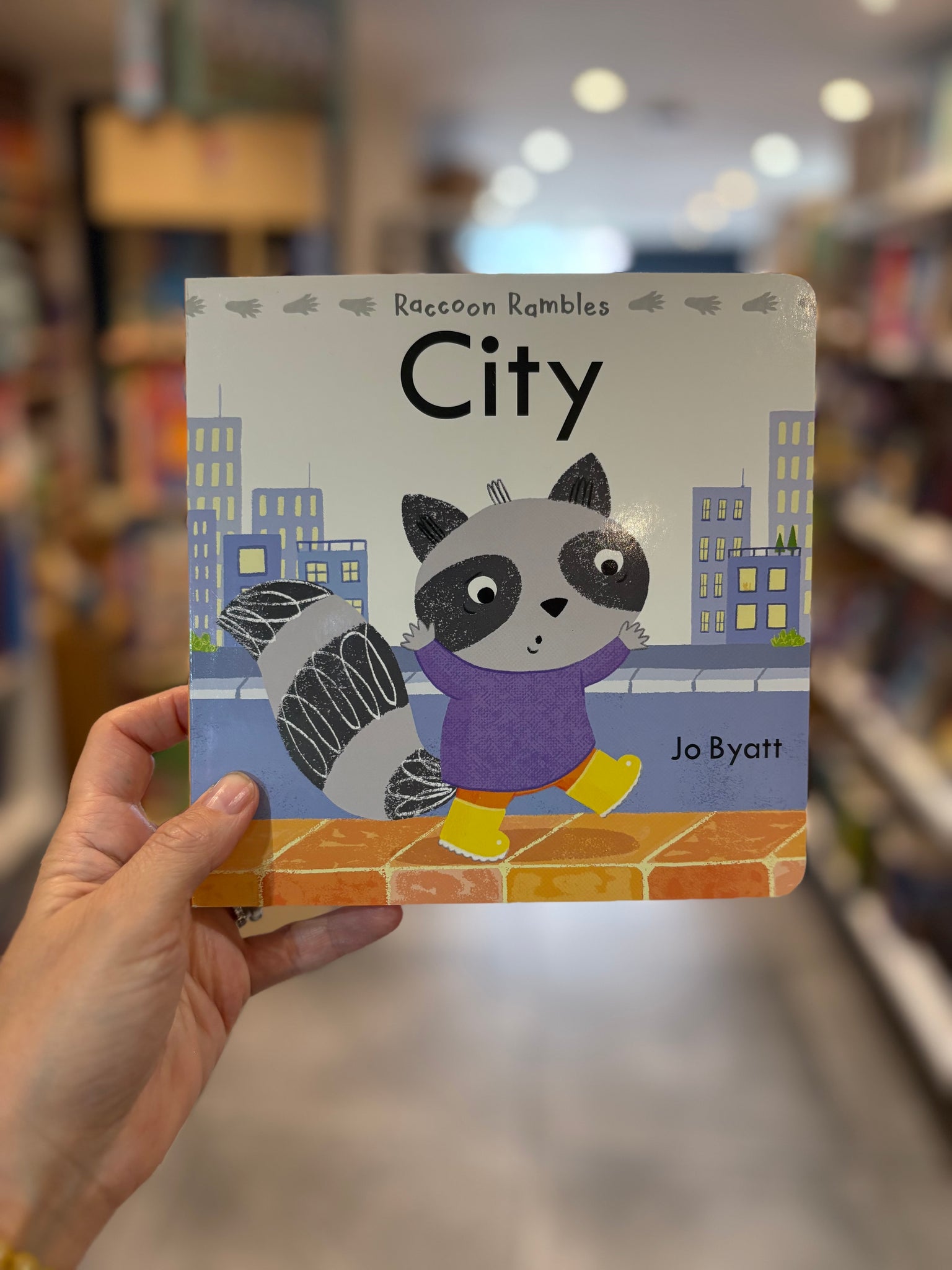 Raccoon Rambles City