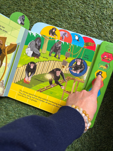 Big Noisy Book Zoo Hullabaloo!