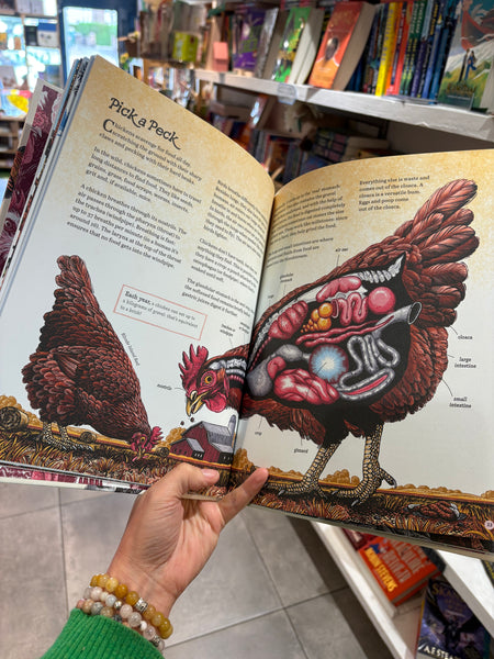Cluck! : The Eggstraordinary Story of Chickens