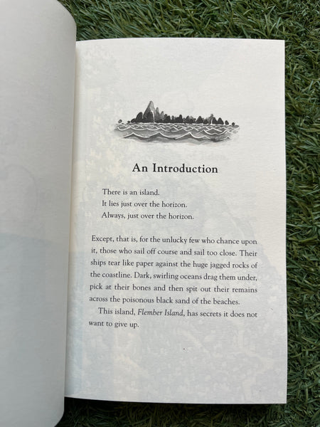 Flember - The Secret Book #1