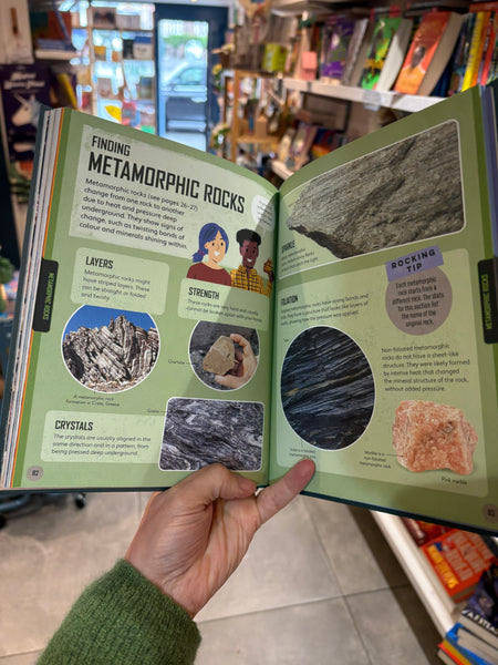 Lonely Planet Kids Let's Go Rock Collecting