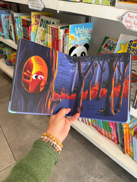 The Sun Thief Board Book
