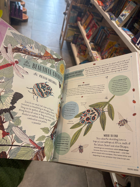 Buzz : A child's guide to bugs and bees and how to spot them