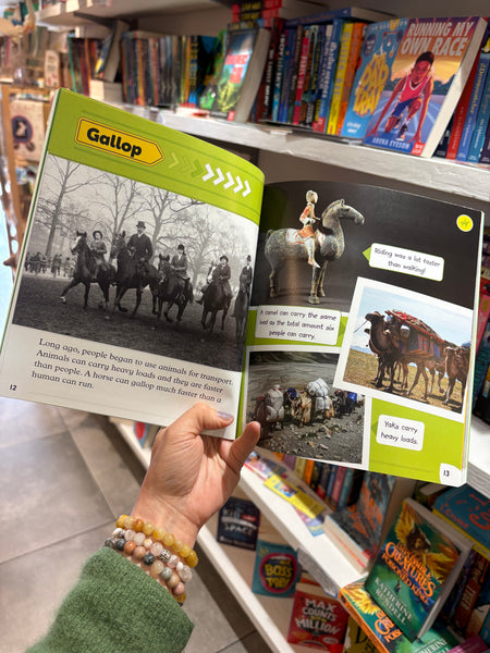 Read With Oxford Stage 4: Marvellous History