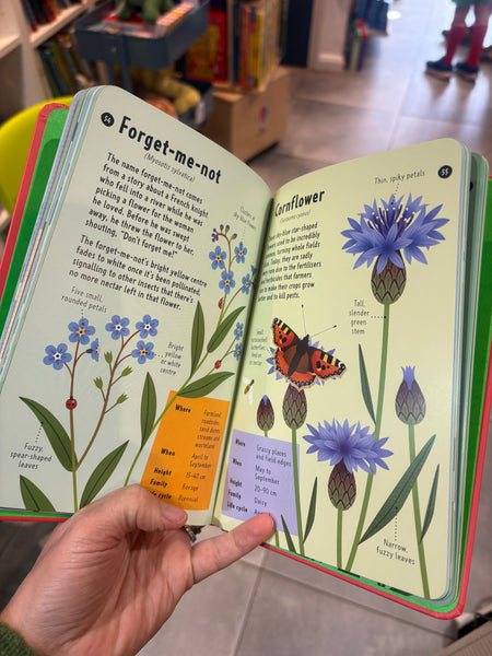 National Trust: Out and About Wildflower Spotter : A children's guide to 65 different wildflowers