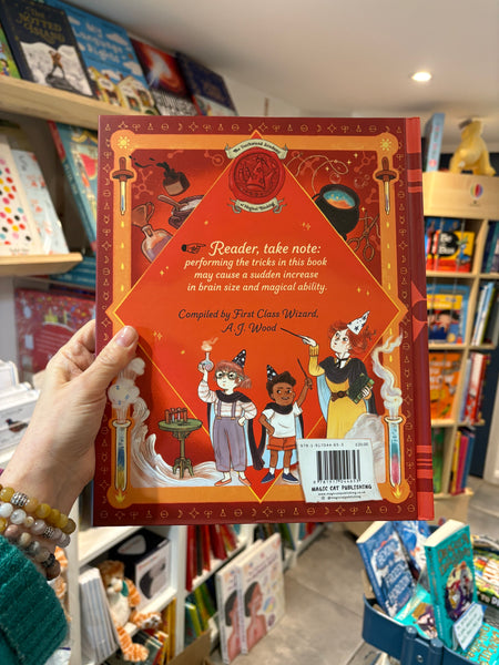 The Wizard’s Guide to Magical Experiments