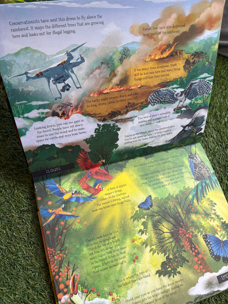 The Forest That Grows Around Me