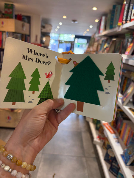 Where’s Mr Owl? Buggy Book