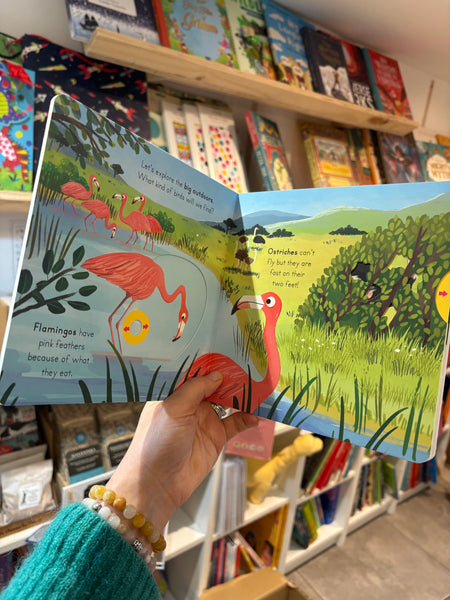Big Outdoors for Little Explorers - Birds