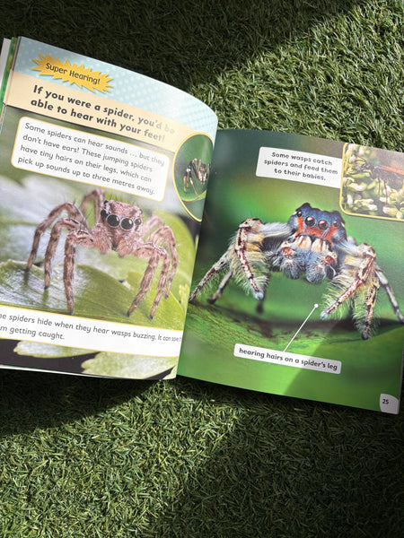 Animal Superpowers Oxford Stage 4