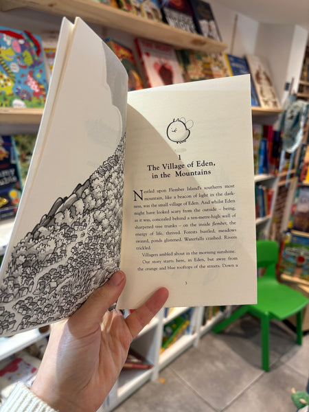 Flember 1: The Secret Book