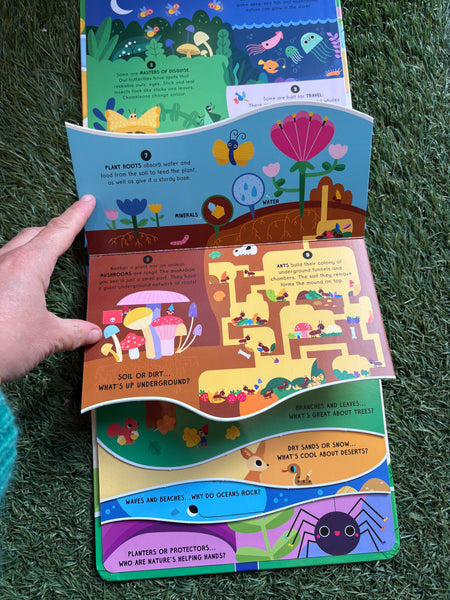 Junior Step by Step Questions & Answers Nature