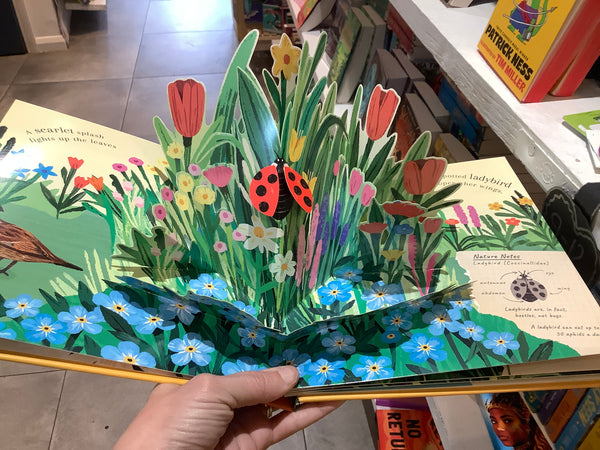 Nature Pop- Ups Minibeasts