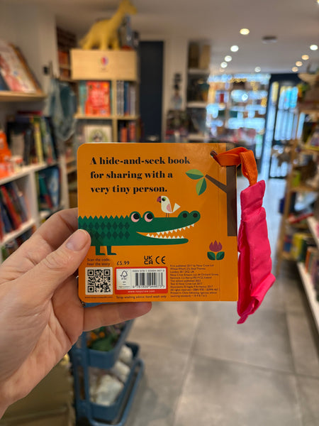 Where’s Mr Lion Buggy Book