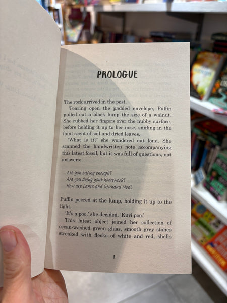 Land of The Last Wildcat