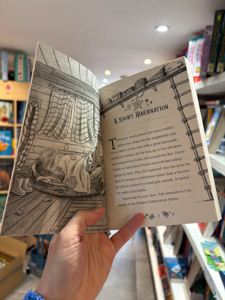 Finders of Silverthorn Forest - The Faraway Adventure