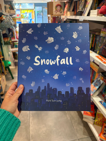 Snowfall
