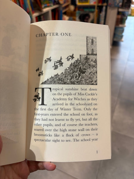 The Worst Witch Save the Day