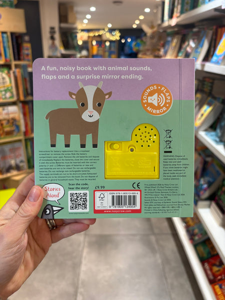 Cheep! A What’s That Noise? Book