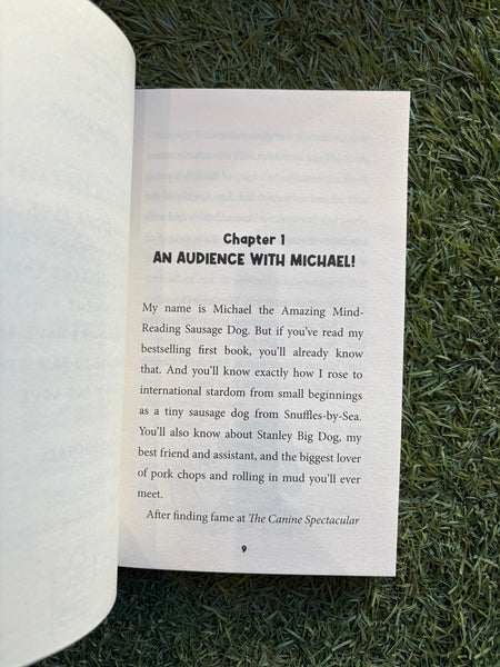 Michael the Incredible Super Sleuth Sausage Dog