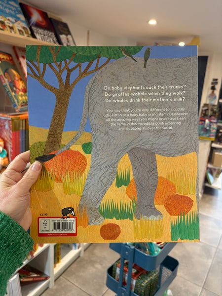Do Baby Elephants Suck Their Trunks