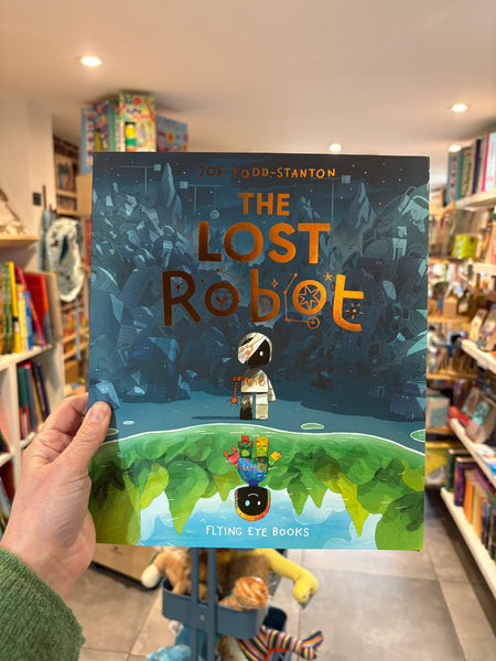 The Lost Robot