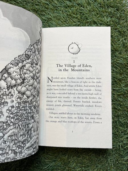 Flember - The Secret Book #1