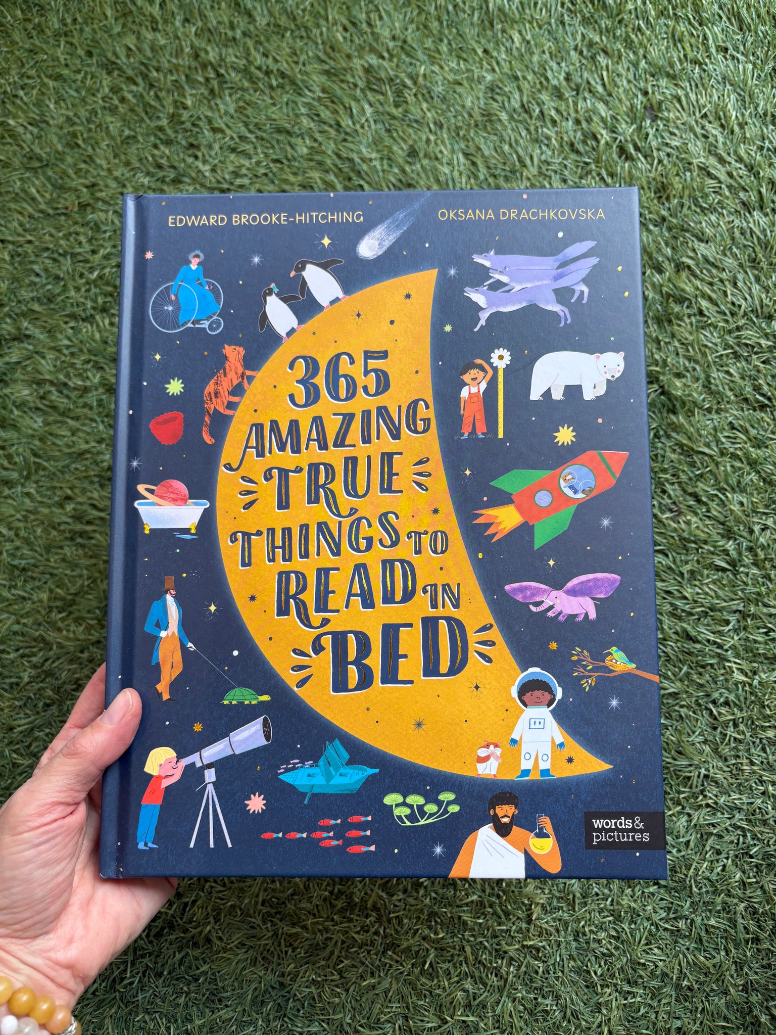 365 Amazing True Things To Read In Bed