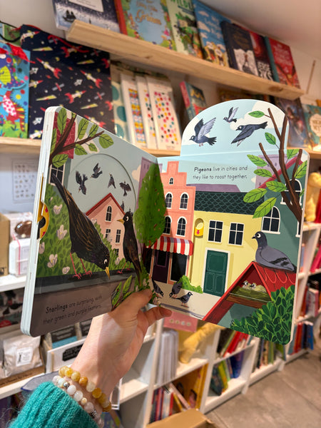 Big Outdoors for Little Explorers - Birds