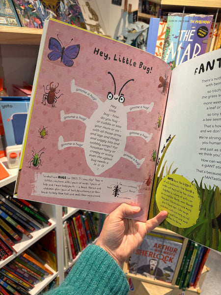 Boing! a bouncy book of bugs