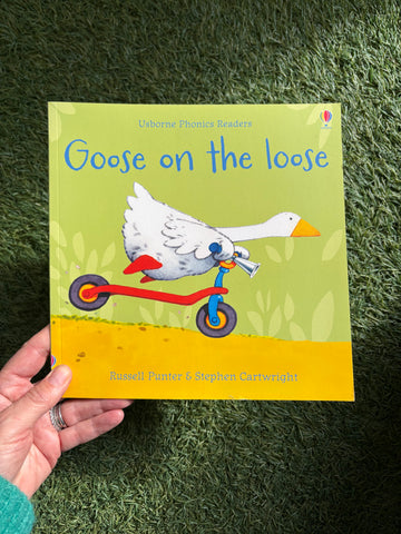 Usborne Phonic Readers Goose on the Loose