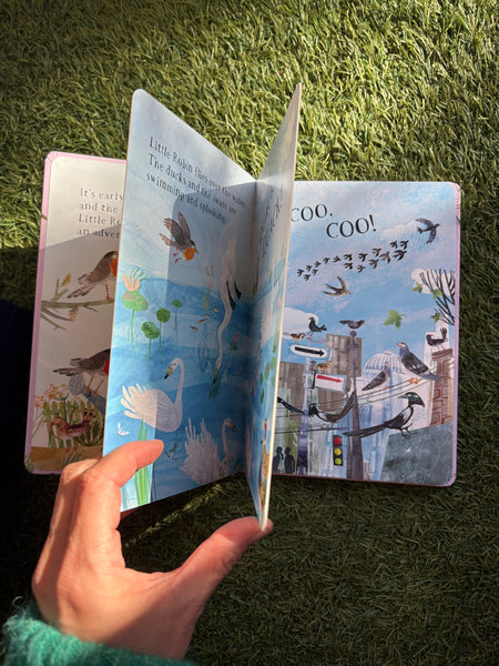 Little Robin's Book of Birds