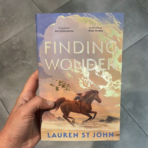 Finding Wonder