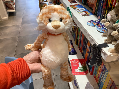 Ginge the Cat Teddy Plush Toy 20cm -Jomanda