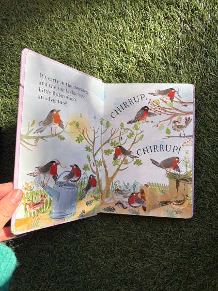Little Robin's Book of Birds
