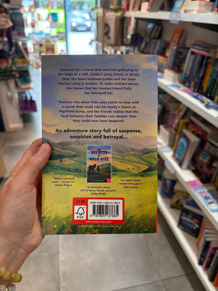 The Secrets of Wild Hill: A Pony's Promise