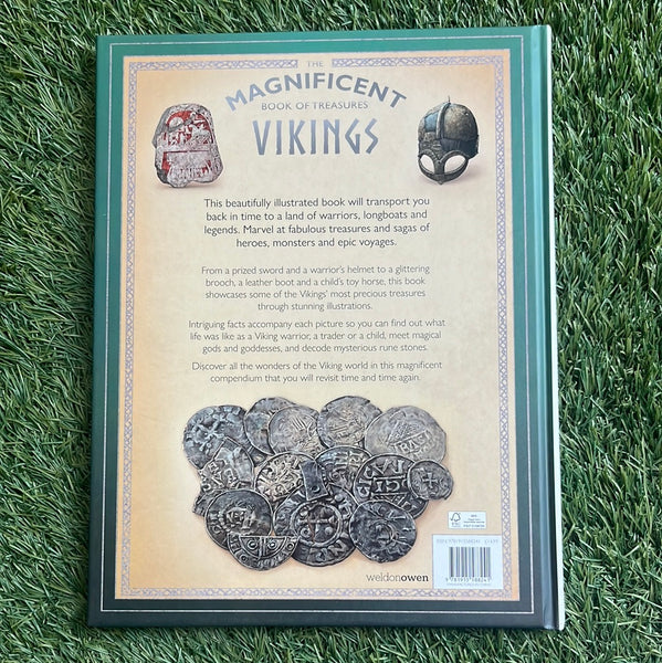 The Magnificent Book of Treasures Vikings