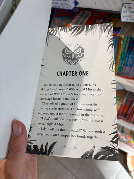 Animagicals Willow’s Owl