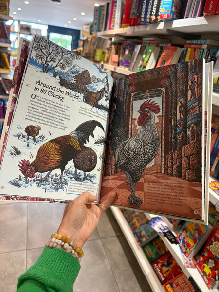 Cluck! : The Eggstraordinary Story of Chickens