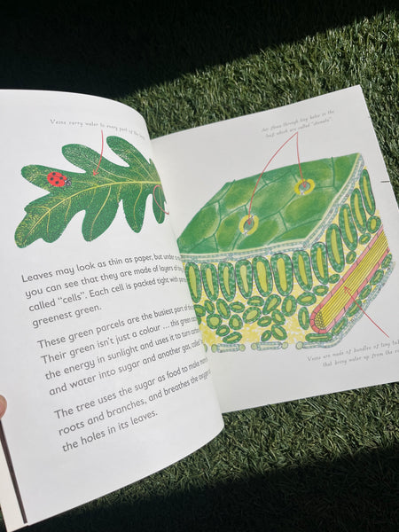 Green - The Story of Plant Life on our Planet