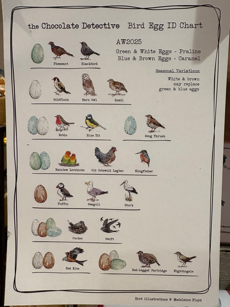 The Chocolate Detectives- 12 Goldfinch Eggs