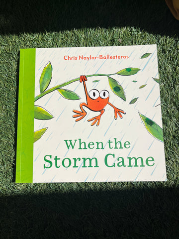 When the Storm Came